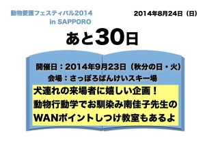 フェスカウントダウン30